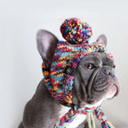 Knit Pom-Pom Dog Beanie, Hat - Multicolor / S (10-15lbs/4.5-7kg)