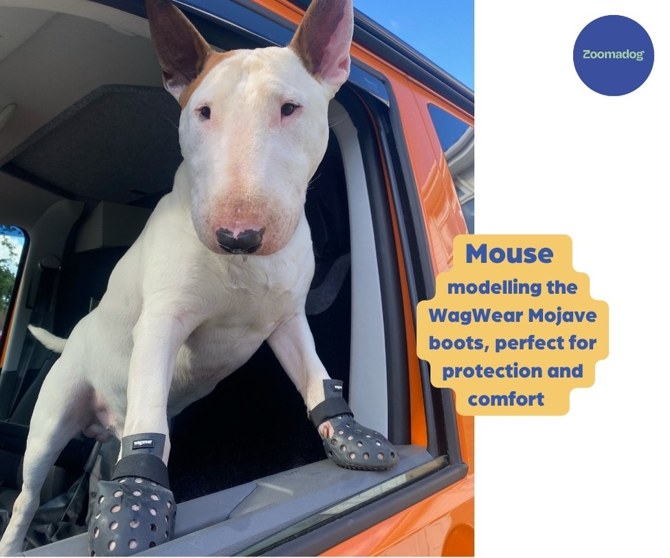 Breathable Rubber Dog Boots product image 9