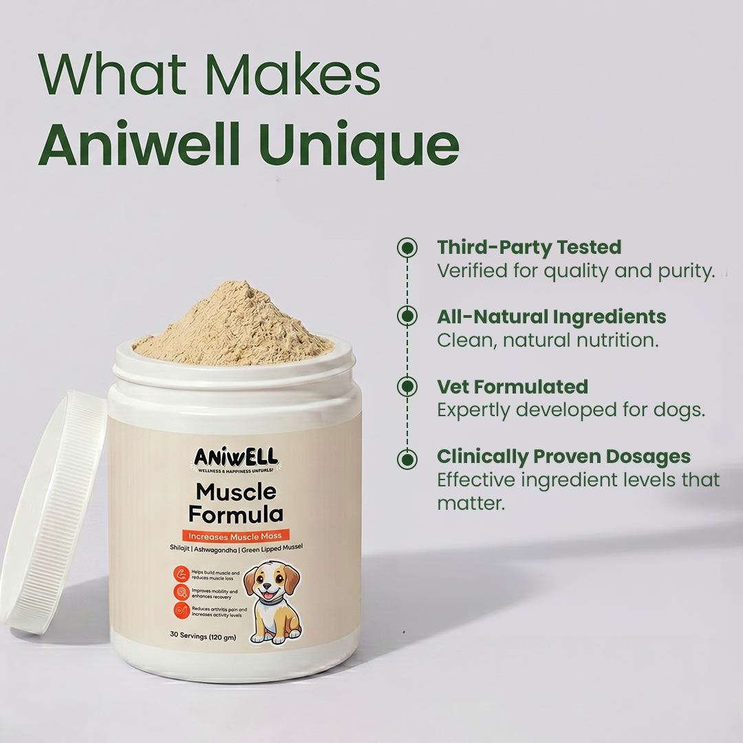 Dog Muscle and Joint Supplement Powder product image 3