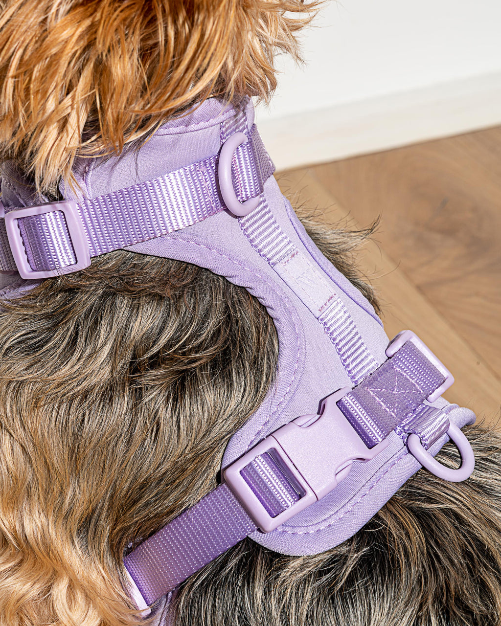 Cushioned No-Pull Dog Harness product image 40