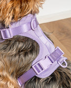 Cushioned No-Pull Dog Harness product image 40