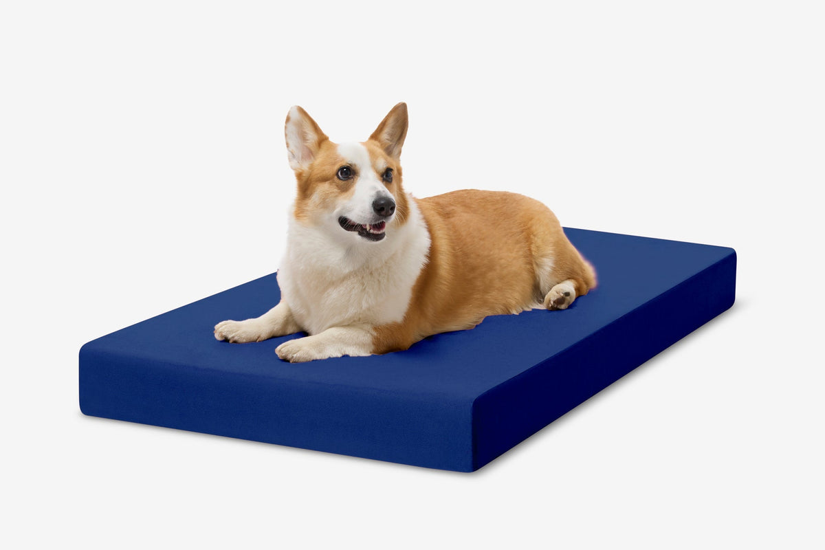 Orthopedic Dog Crate Bed product image 27