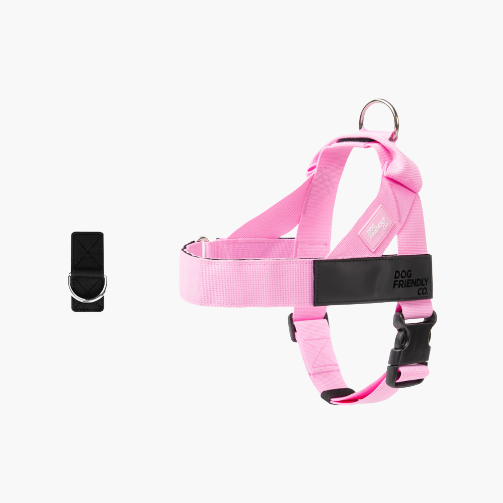 Adjustable Grab-Handle Dog Harness product image 11