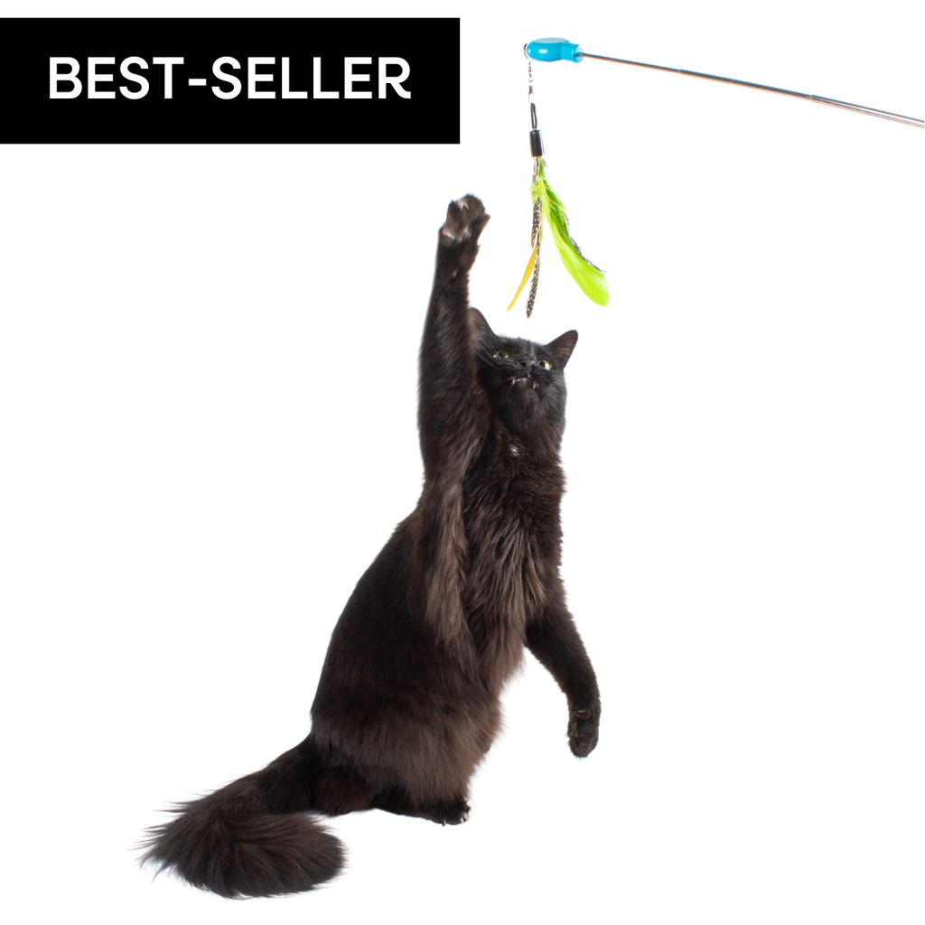 Telescoping Feather Cat Wand Toy product image 2
