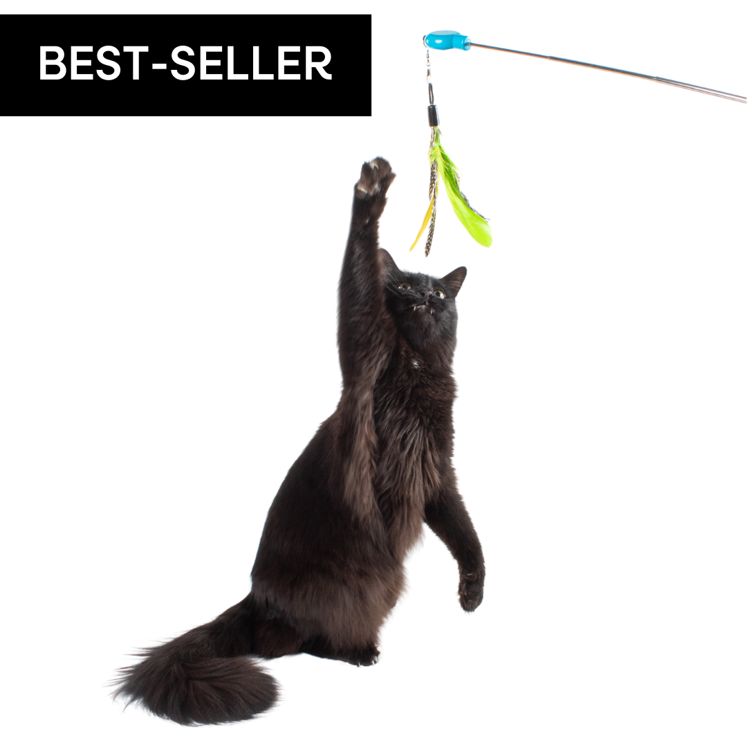 Telescoping Feather Cat Wand Toy product image 2