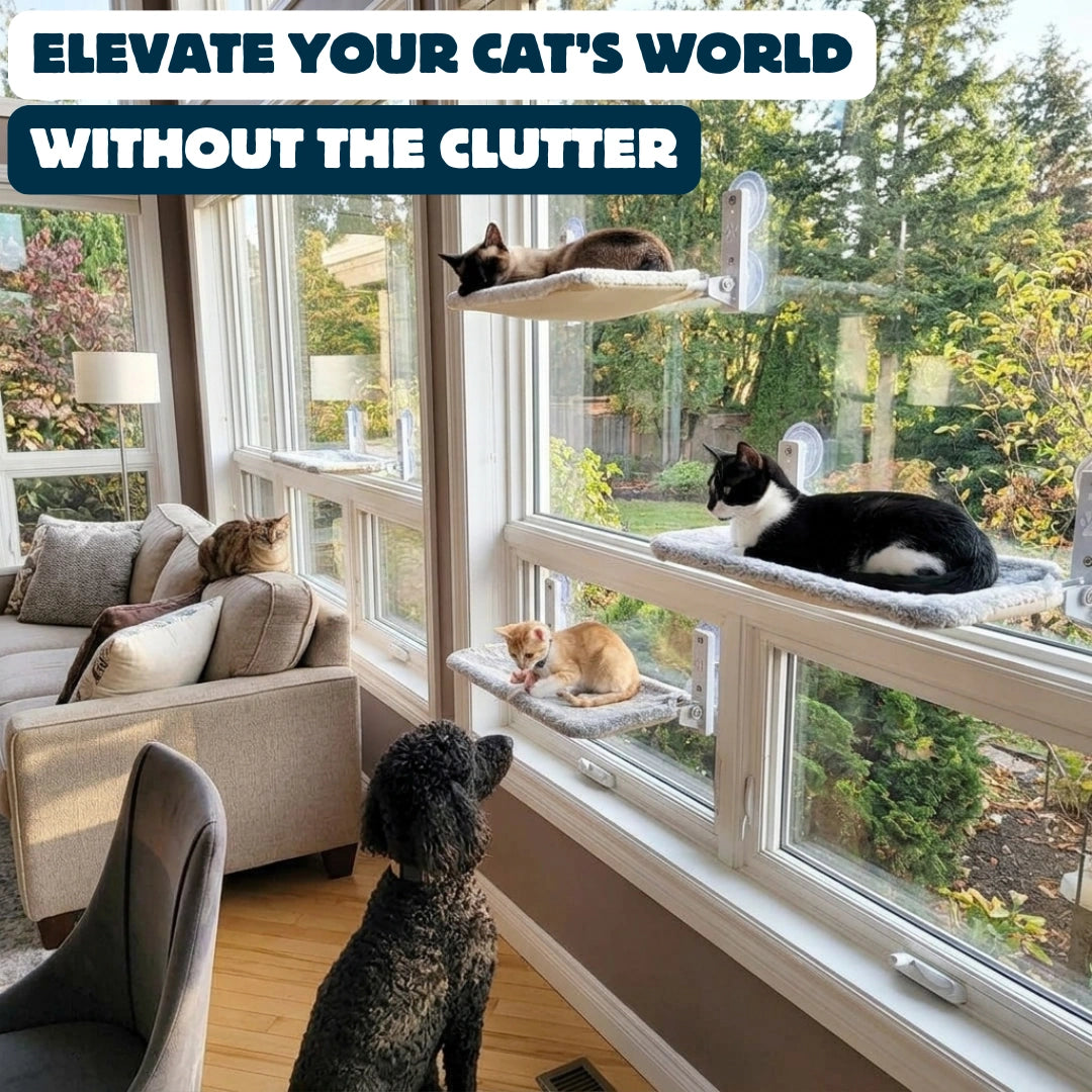 Foldable Window Cat Hammock product image 2