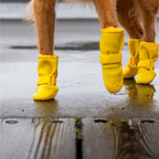 Waterproof Silicone Dog Rain Boots product image 15