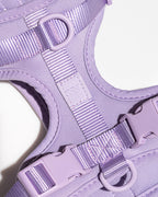 Cushioned No-Pull Dog Harness product image 37