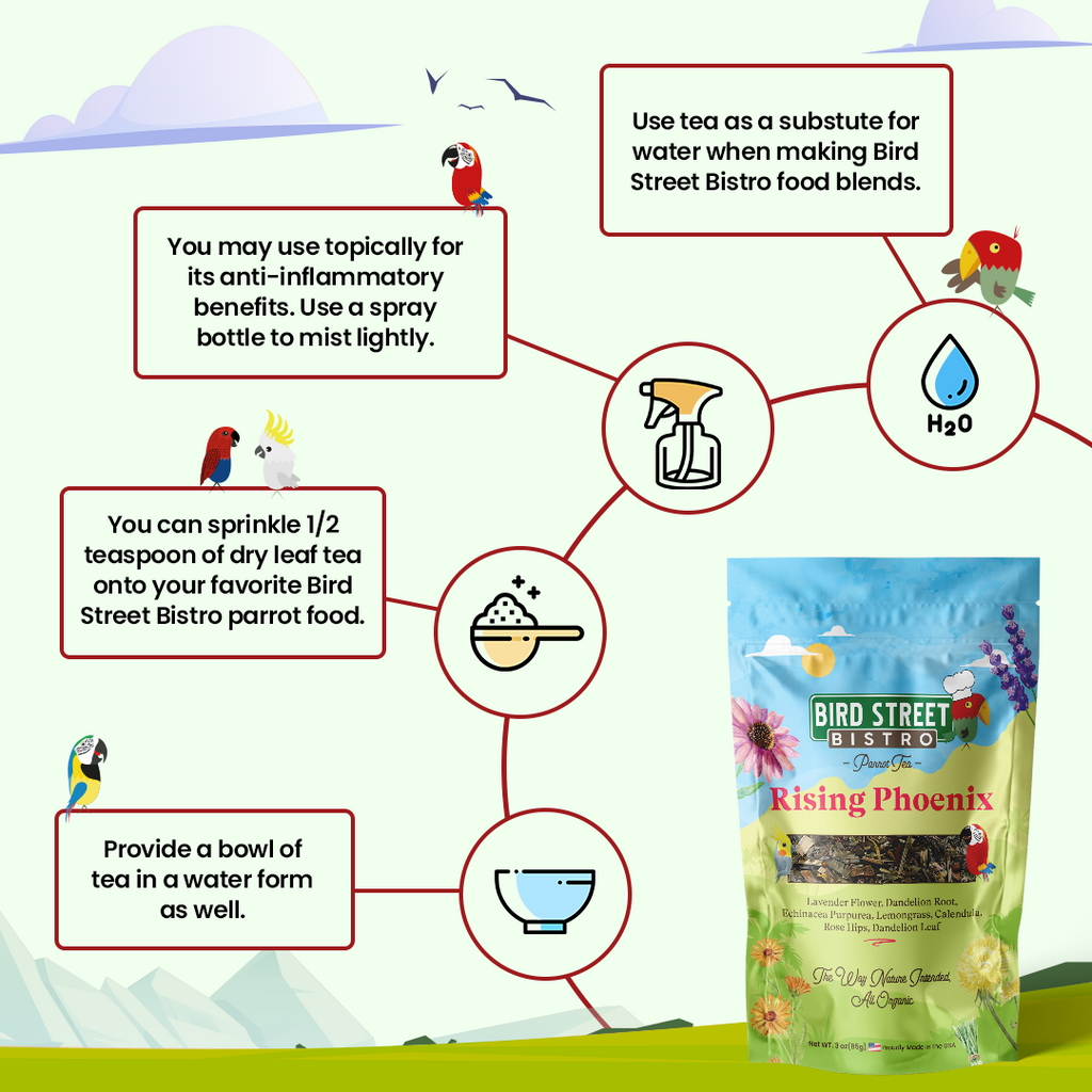 Parrot Food Starter Pack for Nourishing Meals and Herbal Tea, with Easy-Cook Blends for Everyday Variety