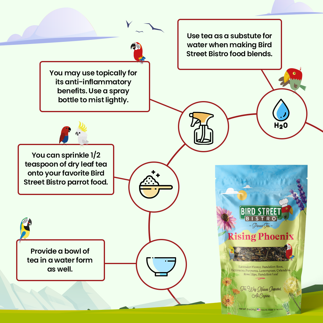 Parrot Food Starter Pack for Nourishing Meals and Herbal Tea, with Easy-Cook Blends for Everyday Variety