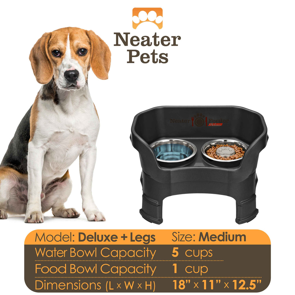 Elevated Slow Feeder Station for Dogs, Stainless Steel Bowl Set and Spill-Catching Basin in Three Sizes source image 100
