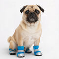 Dog Boots product image 1