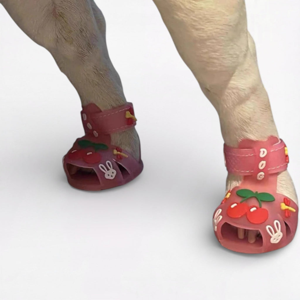 Dog Paw Protection Sandals product image 9