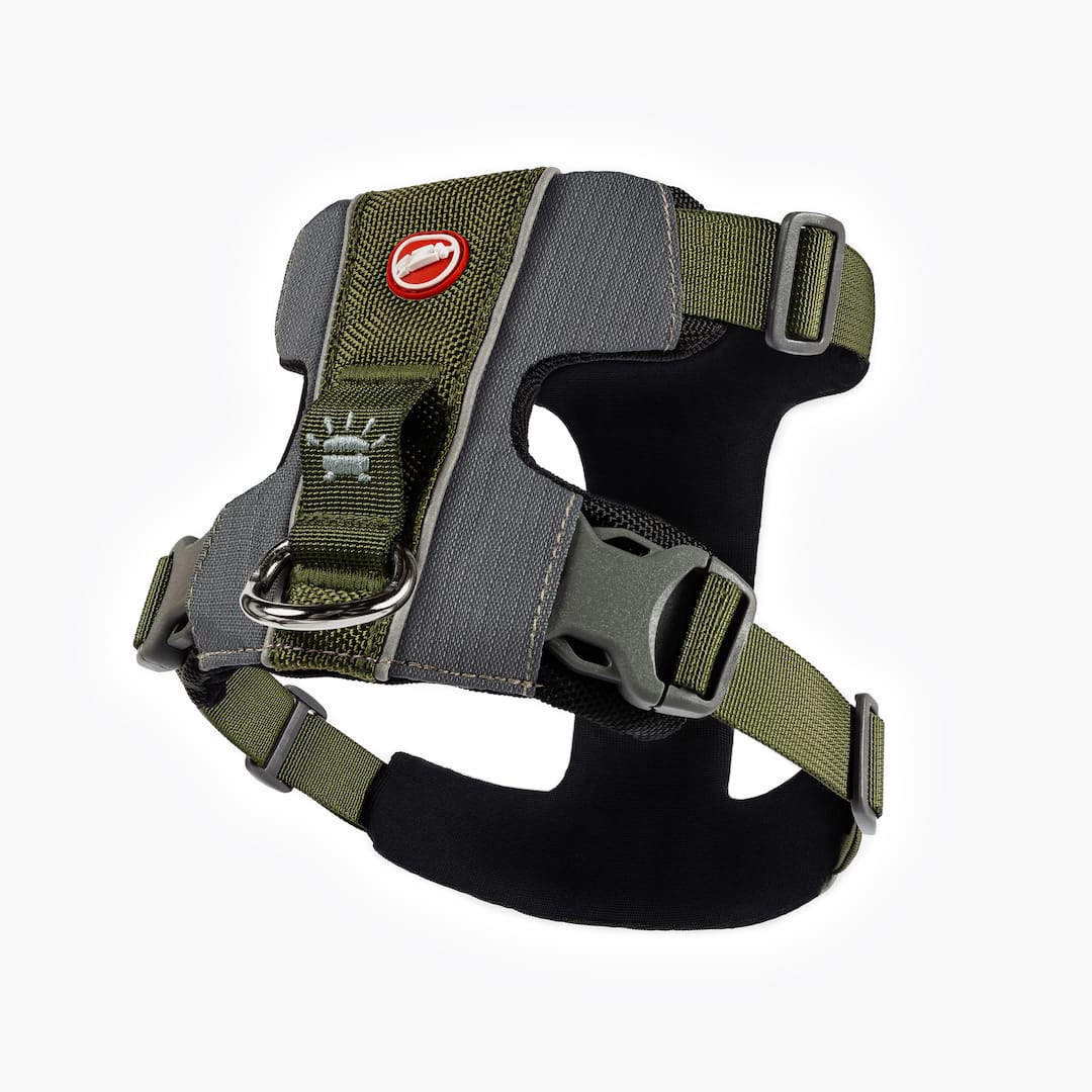 Dog Harness product image 4
