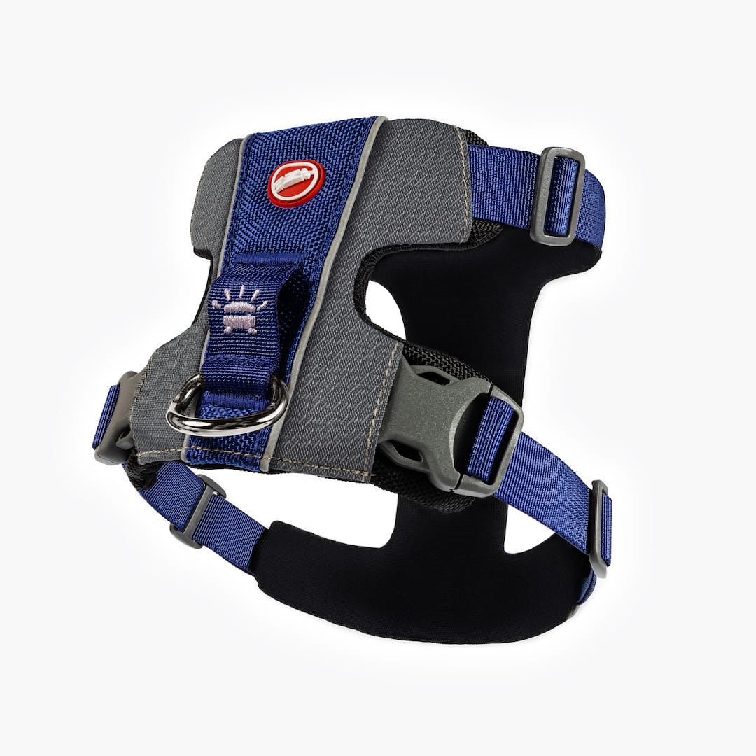 Dog Harness product image 6