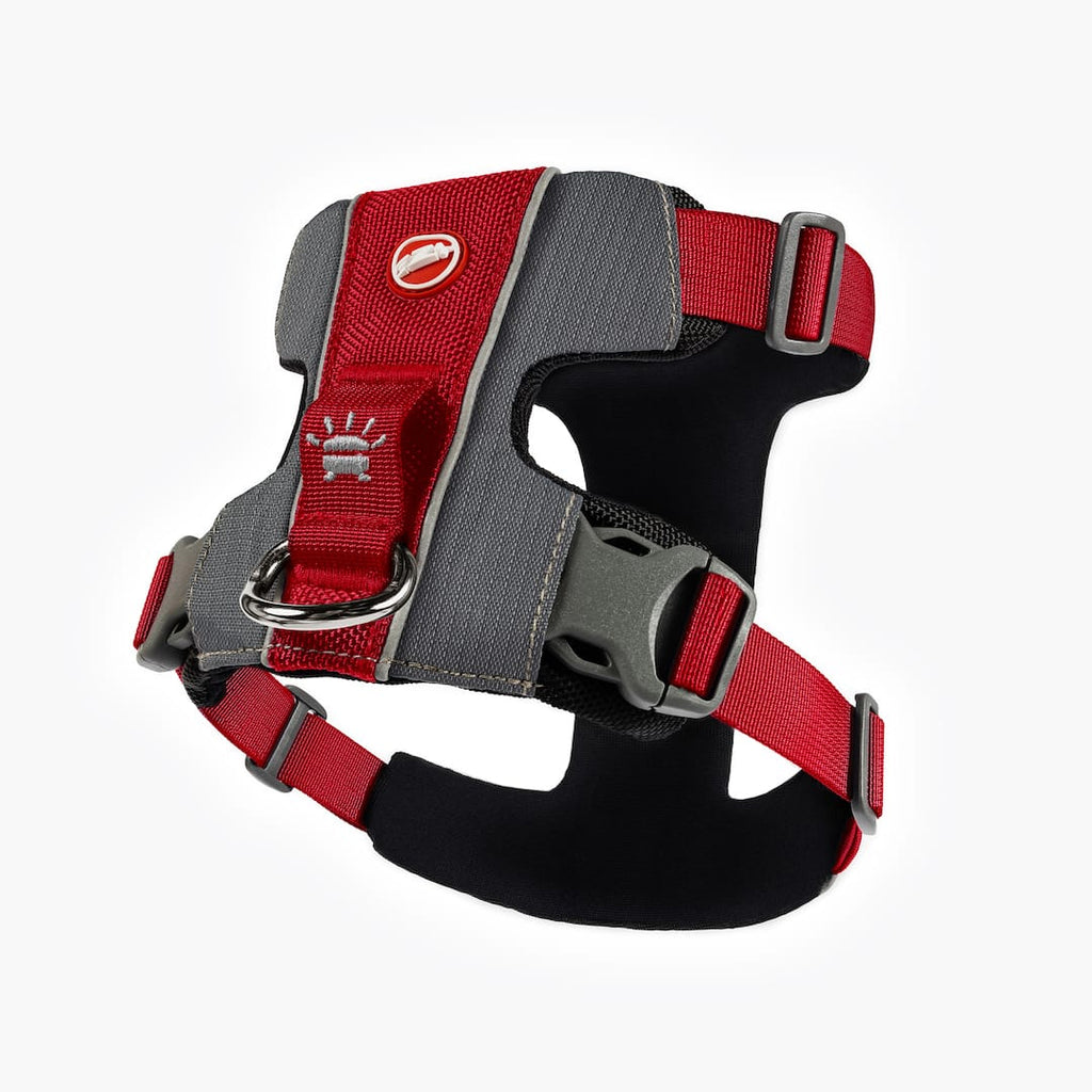 Dog Harness product image 8