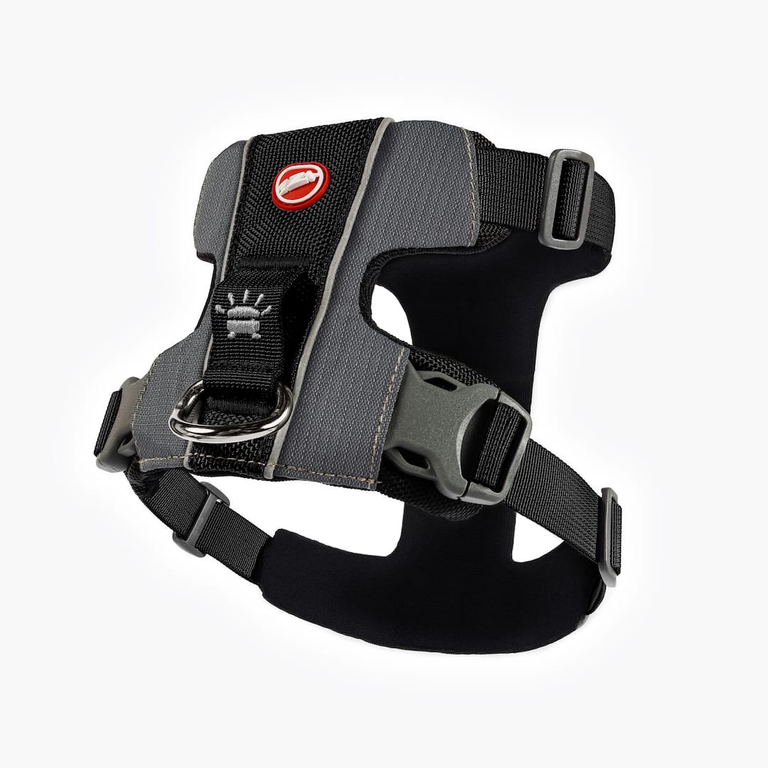 Dog Harness product image 10