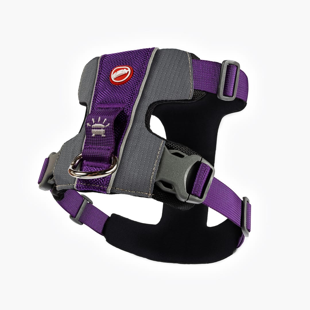 Dog Harness product image 14