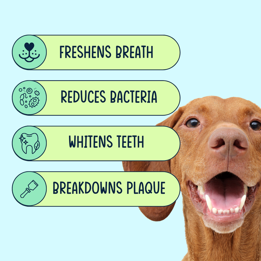 Dog Dental Powder product image 3