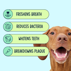 Dog Dental Powder product image 3