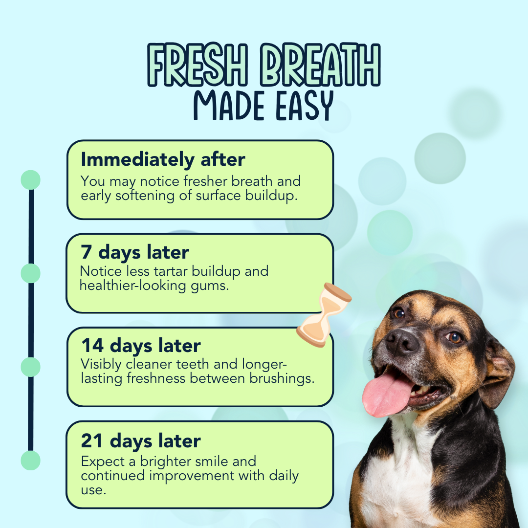 Dog Dental Powder product image 4