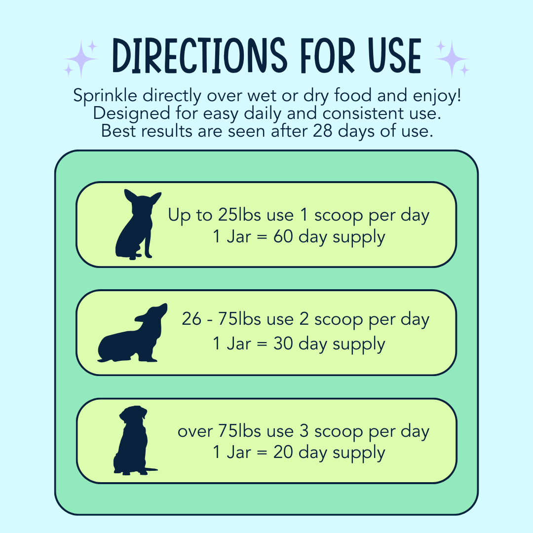 Dog Dental Powder product image 5