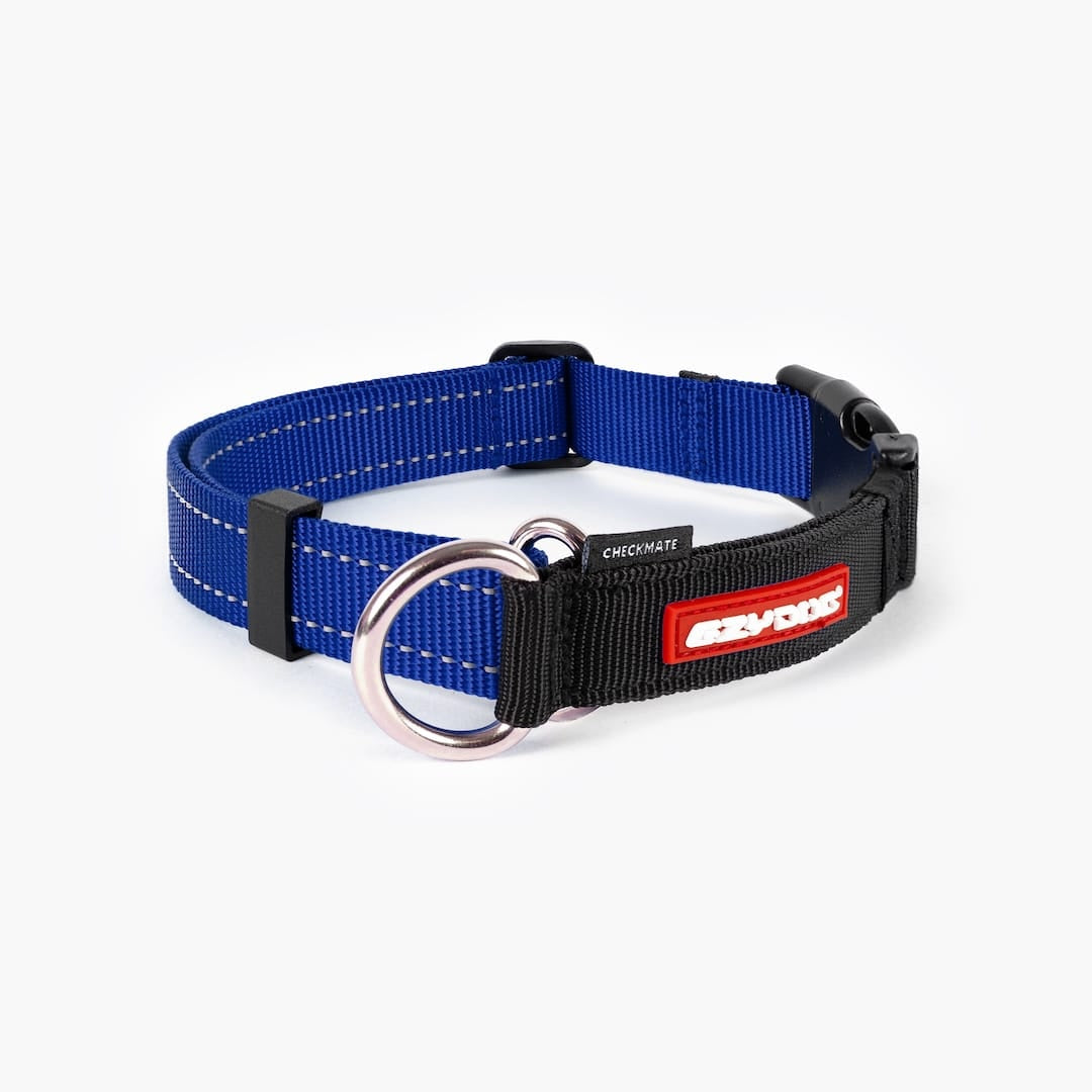 Martingale Dog Collar product image 1