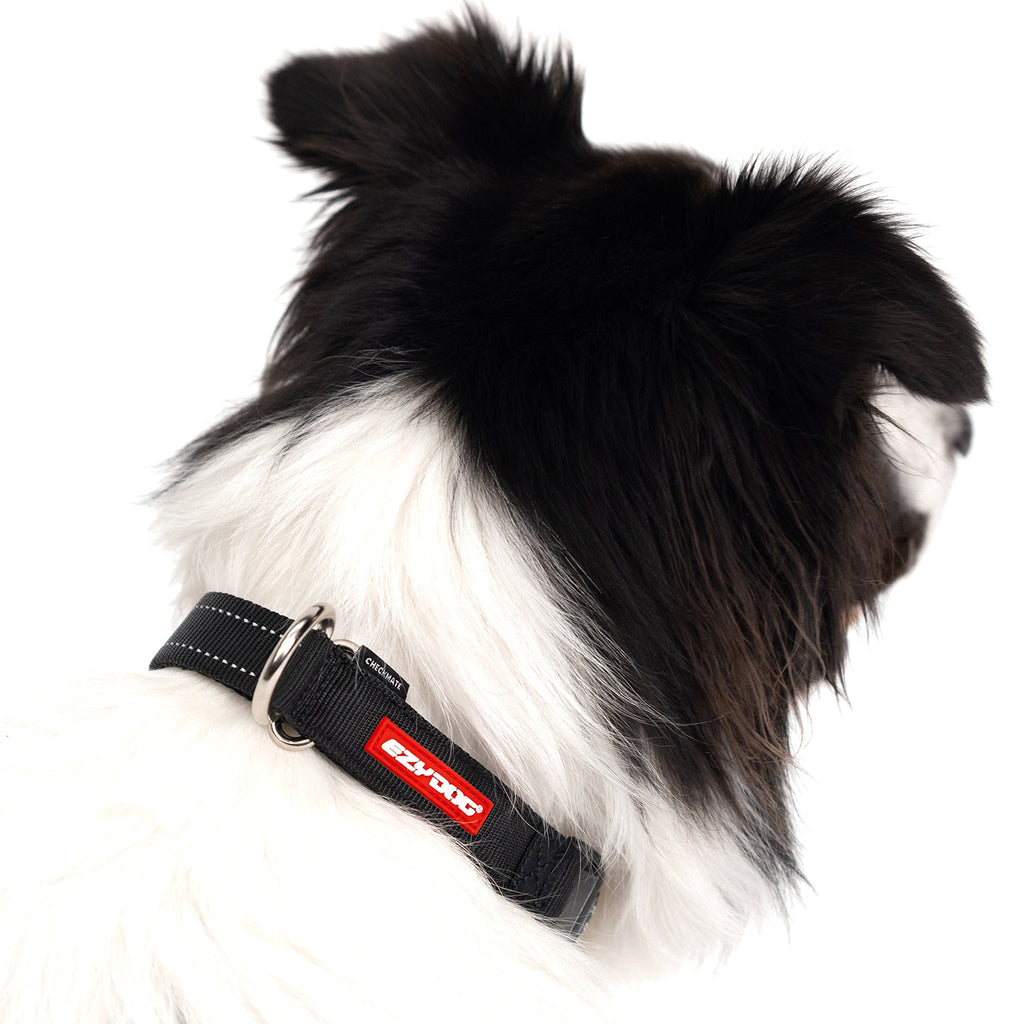 Martingale Dog Collar product image 2