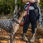 Martingale Dog Collar product image 5