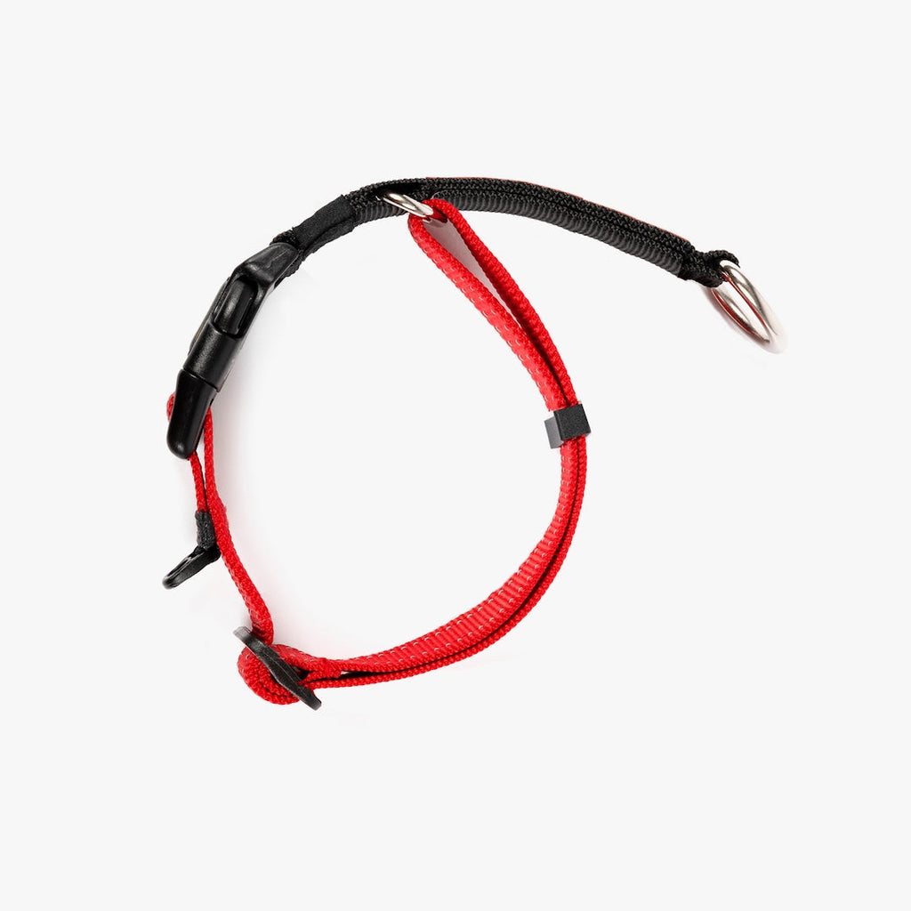 Martingale Dog Collar product image 6