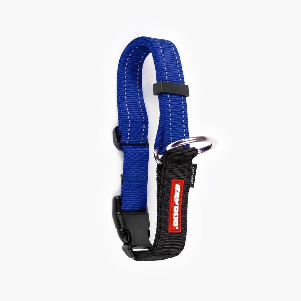 Martingale Dog Collar product image 12