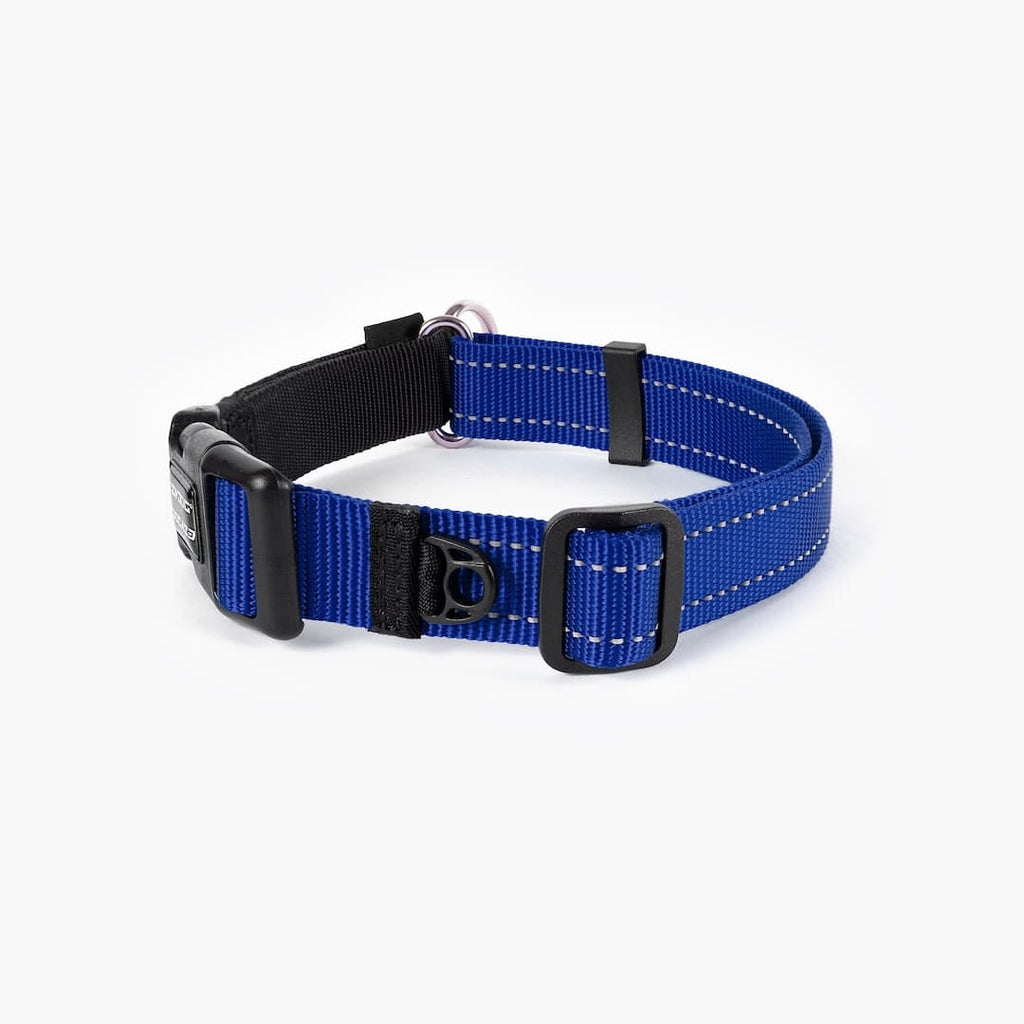 Martingale Dog Collar product image 14