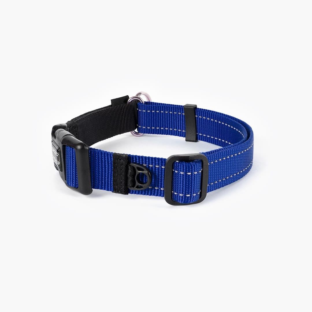 Martingale Dog Collar product image 14