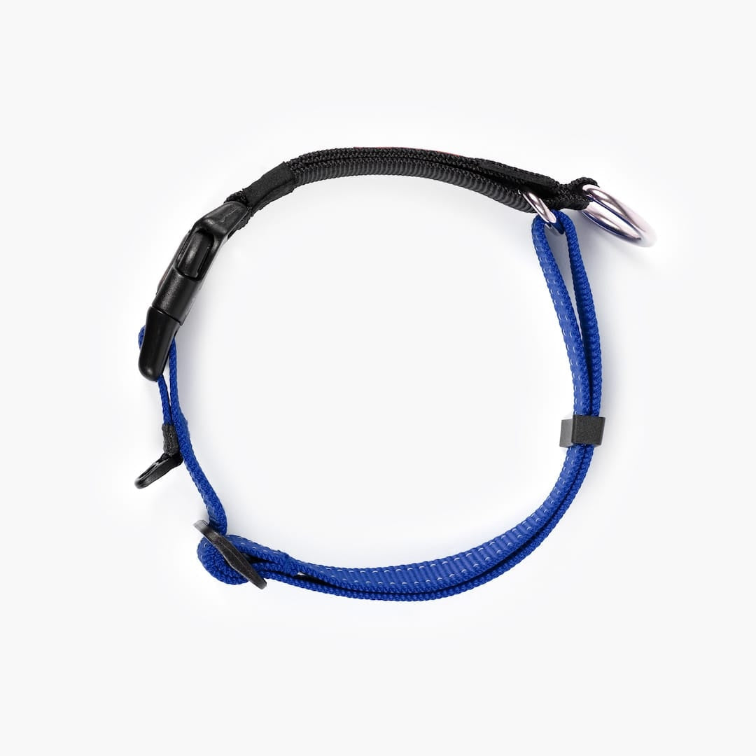 Martingale Dog Collar product image 15