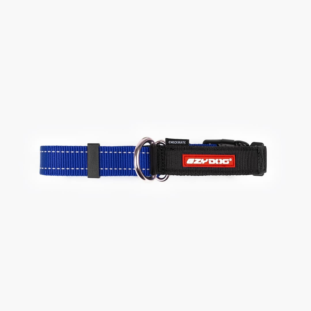 Martingale Dog Collar product image 16