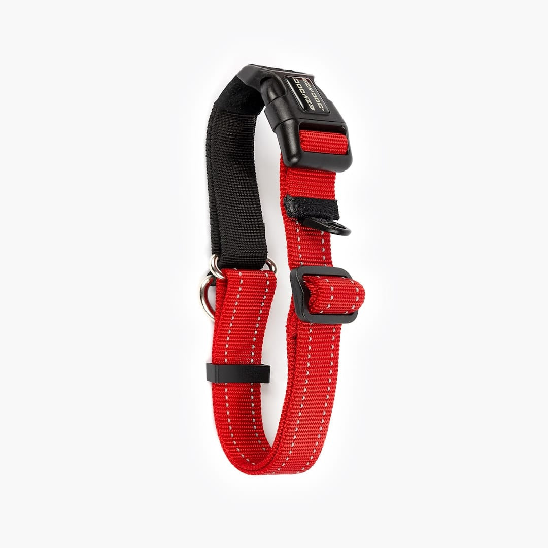 Martingale Dog Collar product image 18