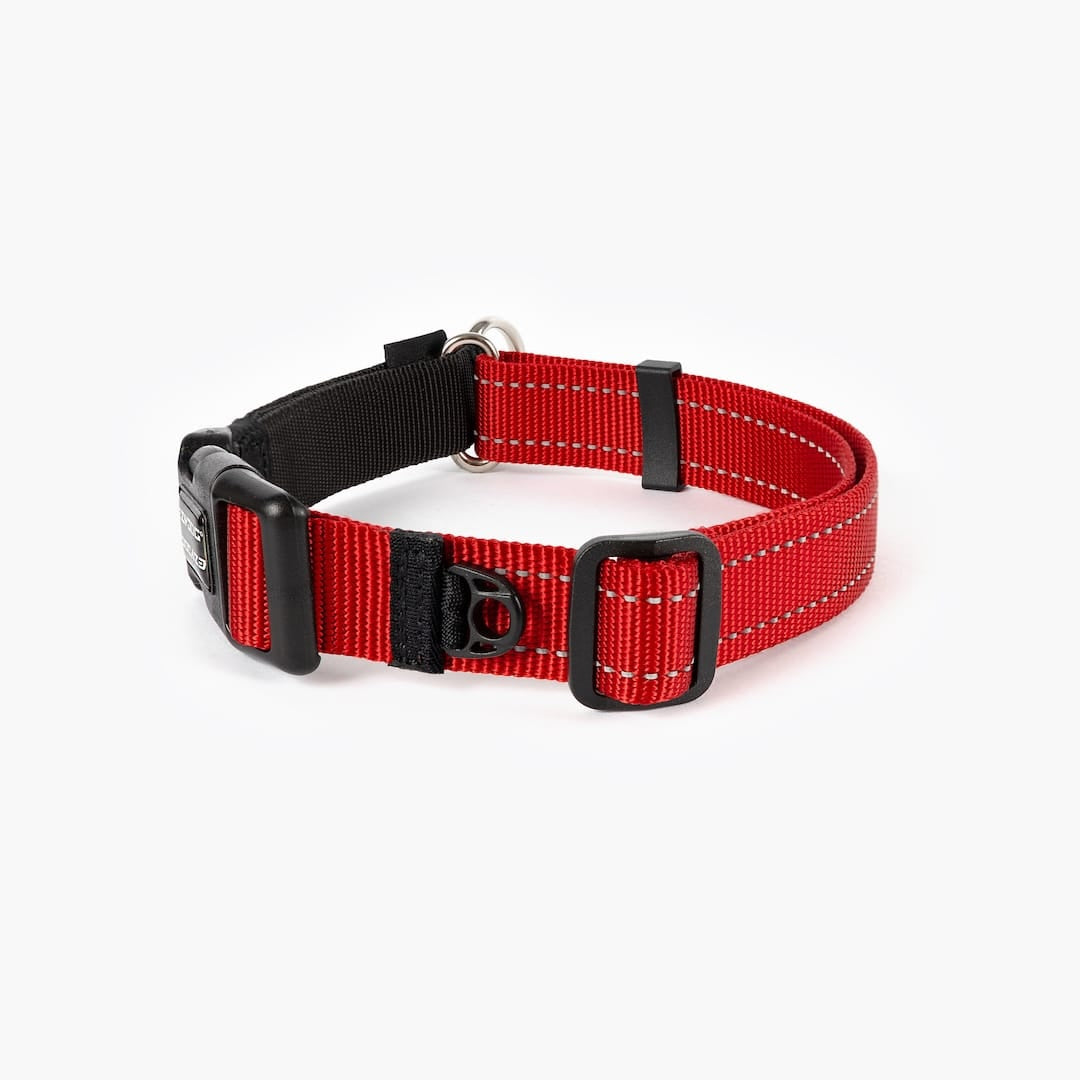 Martingale Dog Collar product image 19