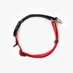 Martingale Dog Collar product image 20