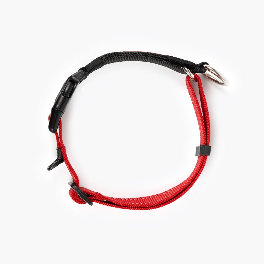Martingale Dog Collar product image 20