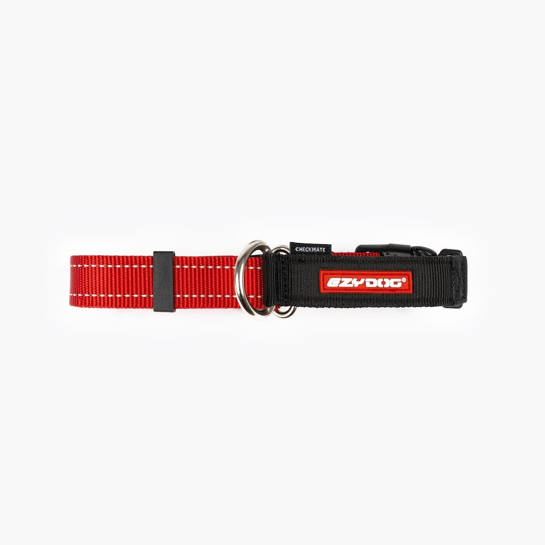 Martingale Dog Collar product image 21