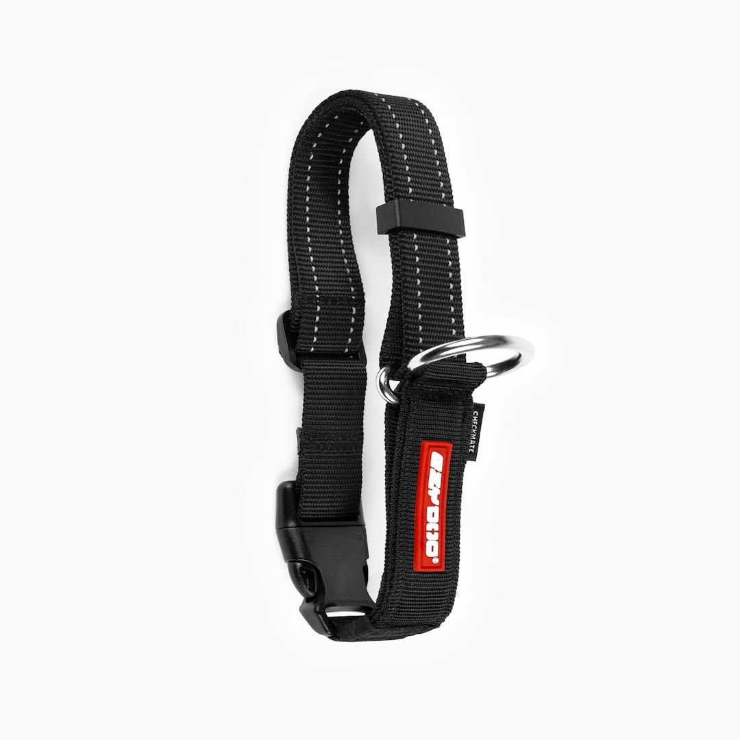 Martingale Dog Collar product image 22