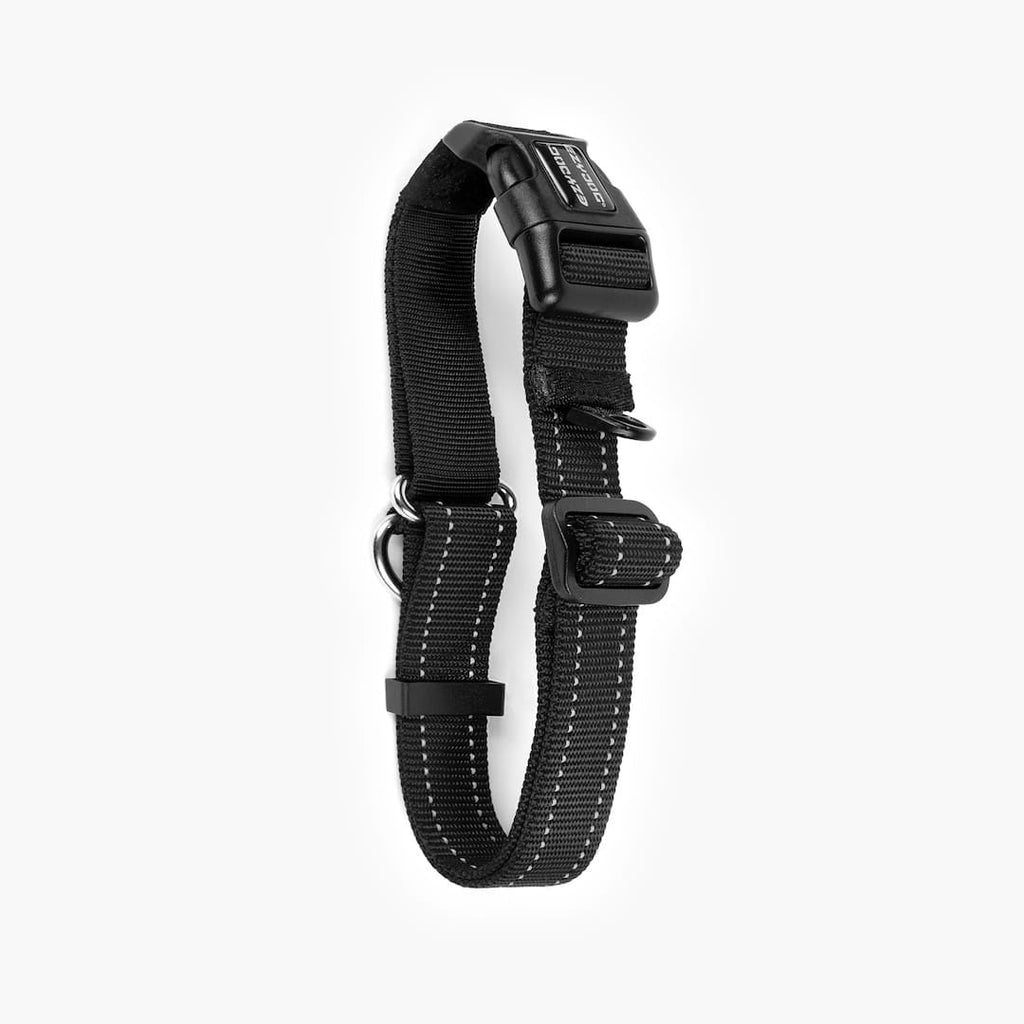 Martingale Dog Collar product image 23