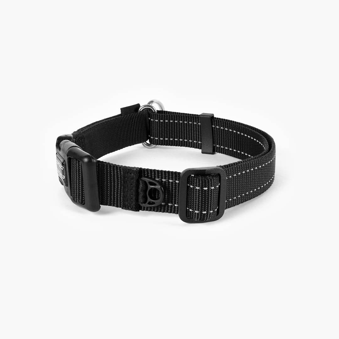 Martingale Dog Collar product image 24