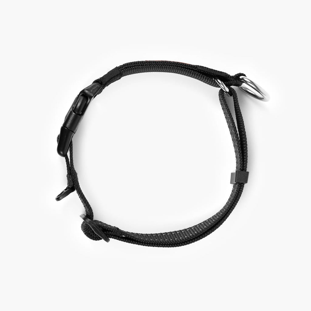 Martingale Dog Collar product image 25