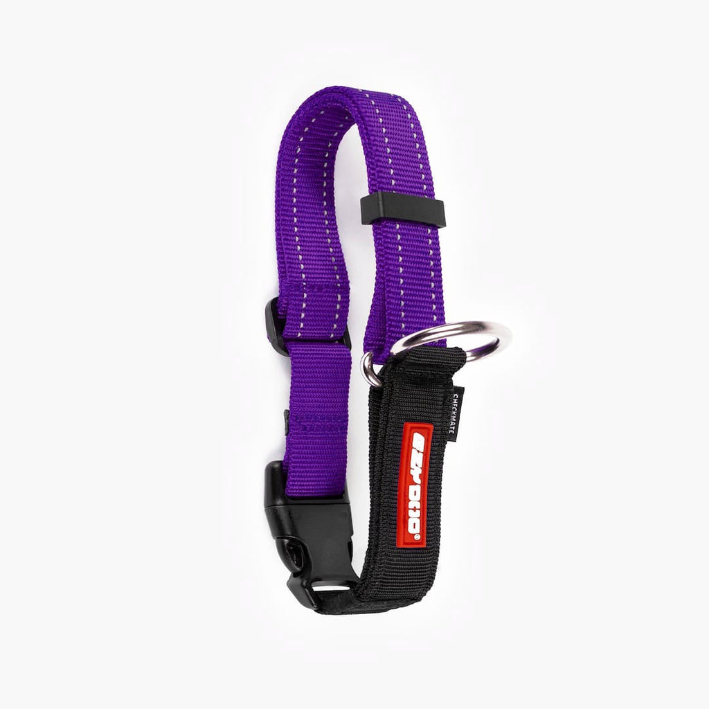 Martingale Dog Collar product image 26