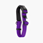 Martingale Dog Collar product image 27