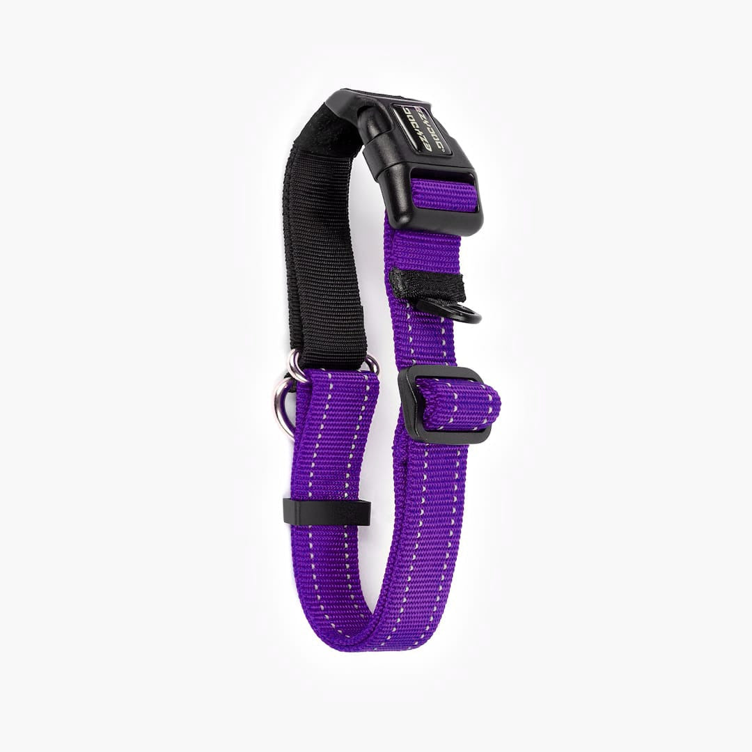 Martingale Dog Collar product image 27