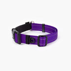 Martingale Dog Collar product image 28