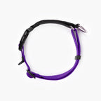 Martingale Dog Collar product image 29