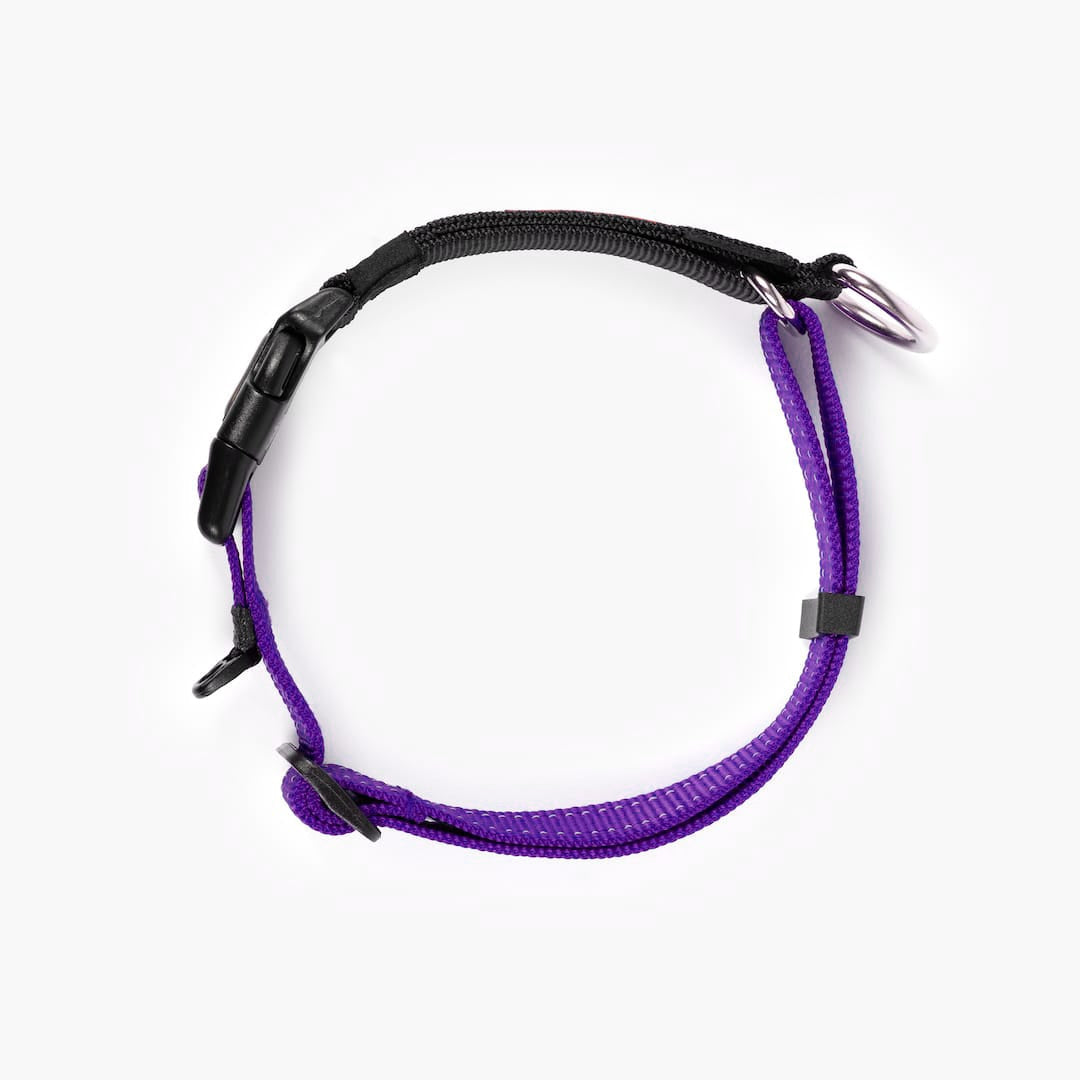 Martingale Dog Collar product image 29